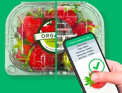 Organic strawberries connected packaging